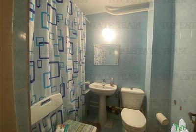 Apartament cu 3 camere decomandat în Abator - 14