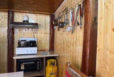 Casa + Teren 3500 mp intravilan + 11500 mp teren agricol, extravilan - 14