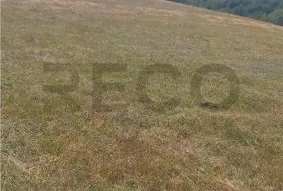 Teren de 17500 mp, în Șinteu - 4