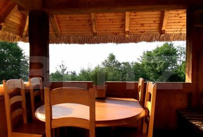 Casa cu design unic, 180 mp utili, 500 mp teren, Salicea - 3