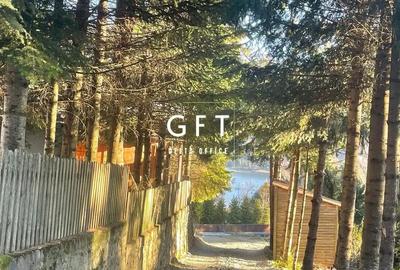 Teren de 500 mp, în Colibița - 10