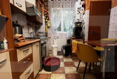 Apartament 4 Camere Circumvalatiunii - 13