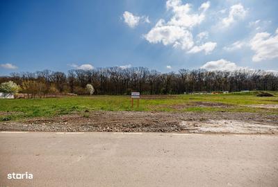 Spațiu comercial, în Dumbrăvița - 9