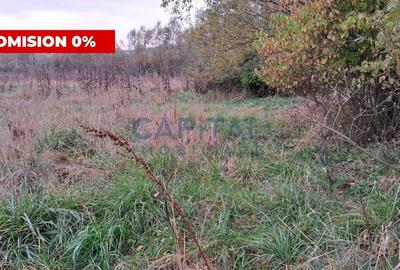 Teren Construcții intravilan de 2345 mp, în Corpadea