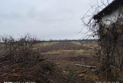 Casă cu 3 camere în Sălard - 3