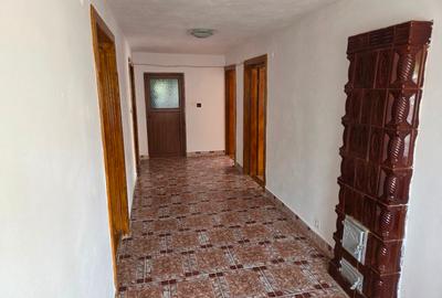 Casă individuală cu 4 camere cu Teren 3692 Mp în Strâmba-Vulcan - 3