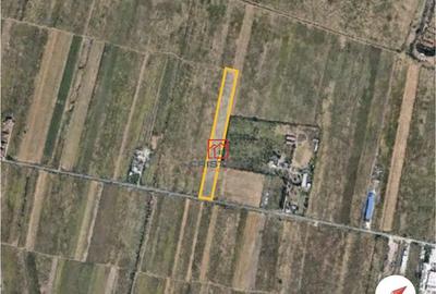 Teren de 4475 mp, în Măgurele