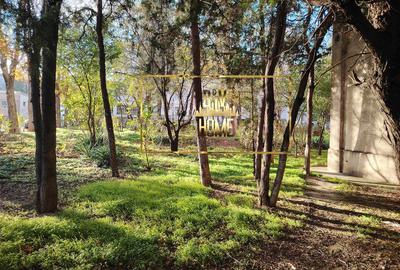 Apartament luminos de vanzare - 2