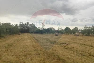 Casa de vanzare in Sinersig - 3