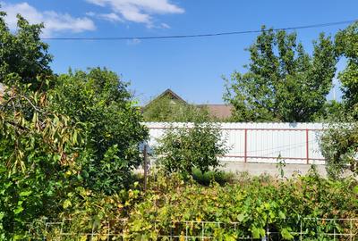 Casă de vânzare în mediul rural – liniște, natură și confort - 13