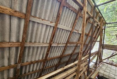 Gospodarie cu 2 case Comuna Trivale Mosteni, sat , la 30 km de Alexandria, jude?ul Teleorman - 5