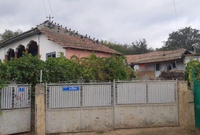 Casă cu 4 camere cu Teren 1458 Mp în Vânători - 4
