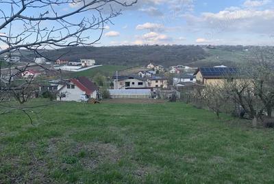 Teren de 1000 mp, în Șorogari - 1