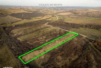 Spațiu comercial, în Uileacu de Munte - 6