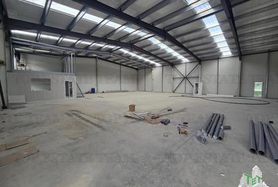 Spațiu industrial, de 479 mp, în Tunari - 5