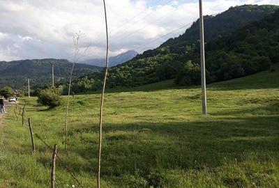 Teren de 10000 mp, în Cheia - 3