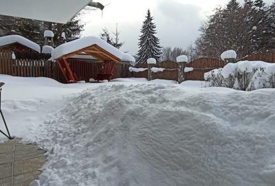 Casa de vacanta sau pensiune situata langa Cabana Trei Brazi Predeal - 50