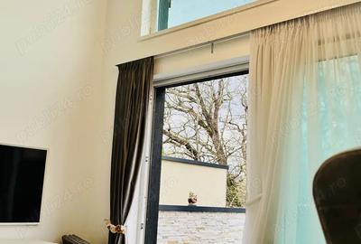 Vila Superba Calea Dumbravii-Parcul Sub Arini - 7