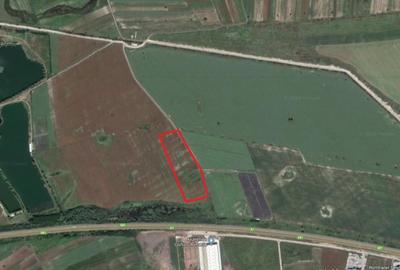 Teren Construcții intravilan de 13500 mp, în Bolintin-Deal - 2