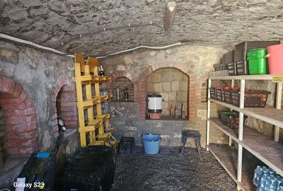 Casă cu 4 camere cu Teren 8140 Mp în Gârcina - 7