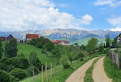 Teren pentru casa de vacanta , Pestera , Brasov - 14