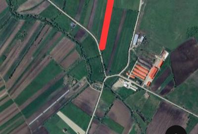 Spațiu comercial, în Tărpiu - 1