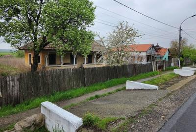 Casă cu 3 camere în Rogova - 8