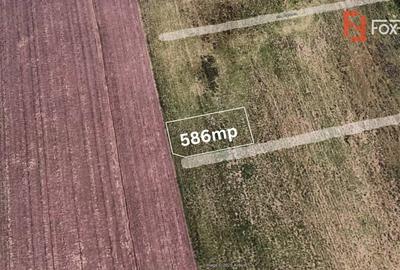 COMISION 0% Teren intravilan constructii, Sacalaz COMISION 0% Teren intravilan constructii, Sacalaz - 2