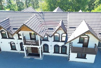 Pensiune de vanzare in Sovata Conacul Cosalina - 2