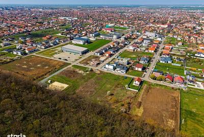 Spațiu comercial, în Dumbrăvița - 10