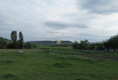 Teren 3953 mp Falticeni Tarna Mare De 0727817187 - 20