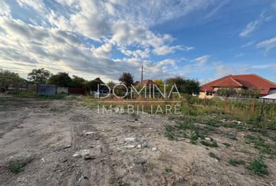 Teren de 4449 mp, în Curtișoara - 4