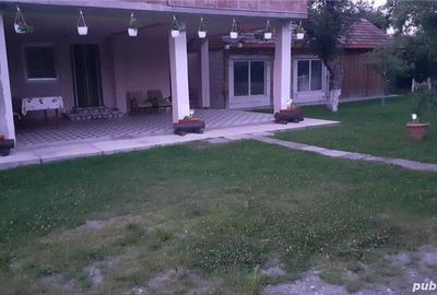 Casă cu 2 camere în Cârțișoara - 7