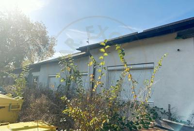 Proprietate industriala(teren + constructii)zona Vama Pitesti/Arpechim - 8