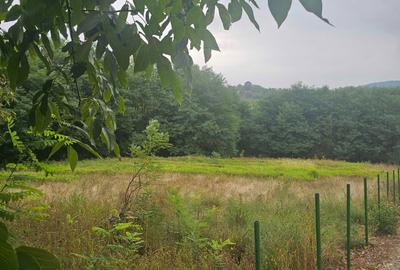 Spațiu comercial, în Luncani - 6