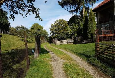 Teren agricol intravilan de 2400 mp, în Ibănești - 1