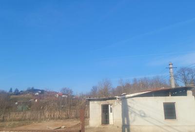 Spațiu comercial, în Piscani - 3