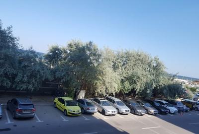 Garsonieră în Nord