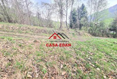 Teren Construcții intravilan de 1000 mp, în Valea Doftanei - 5