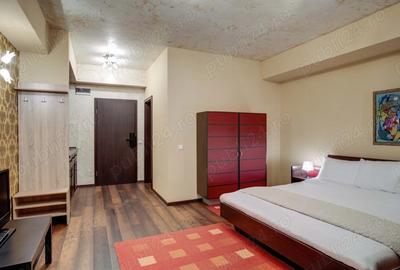 Vand garsoniera Predeal Vand garsoniera Predeal - 1