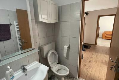 TOMIS NORD BOEMA 2 CAMERE 500 EURO TERMEN LUNG - 8