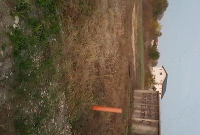 Spațiu comercial, în Domnești