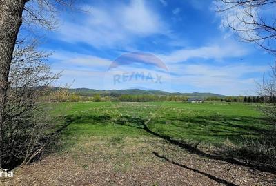 Spațiu comercial, în Mânăstirea Neamț - 7