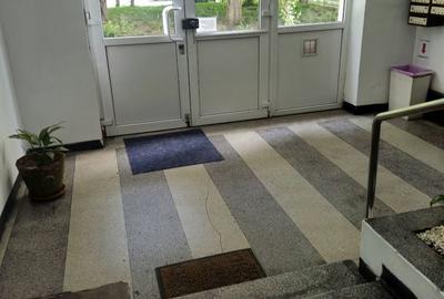 Apartament cu 2 camere semidecomandat în Iancului - 3