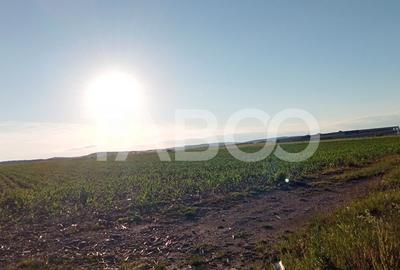 Teren intravilan 20.8 ha deschidere drum zona Industriala Vest Sibiu - 7