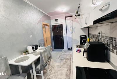 Apartament cu 3 camere semidecomandat, mobilat în Rogerius - 14