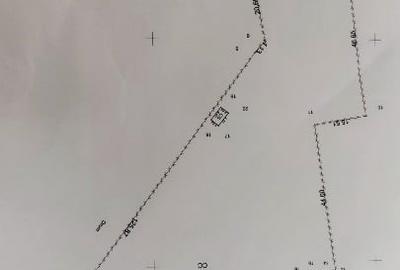 Teren Construcții intravilan de 6500 mp, în Albești - 2