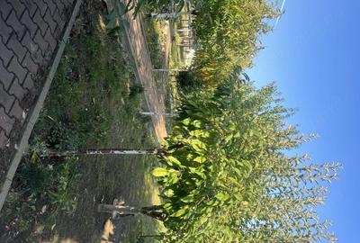 Casă cu 5 camere cu Canalizare în Petrolului - 9