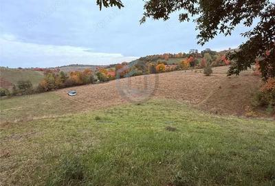 Teren intravilan 17,265 mp in Tomnatic, comuna Vadu Crisului - 5