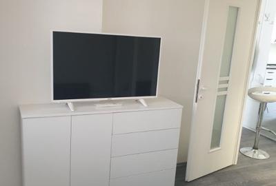 Apartament cu 2 camere semidecomandat în Parcul Circului - 3